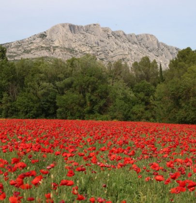 Les 10 plus beaux points de vues de la montagne Sainte-Victoire en Nissan Micra
