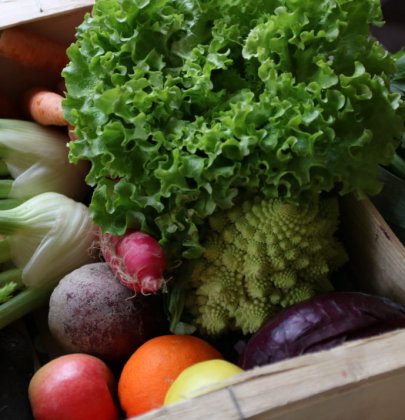 Rendez-vous bio – Le bio à la portée de tous