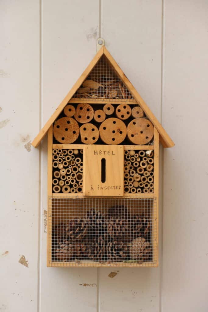 Hôtel à insectes en bois fixé sur un mur du parc du Pavillon Vendôme, à Aix-en-Provence