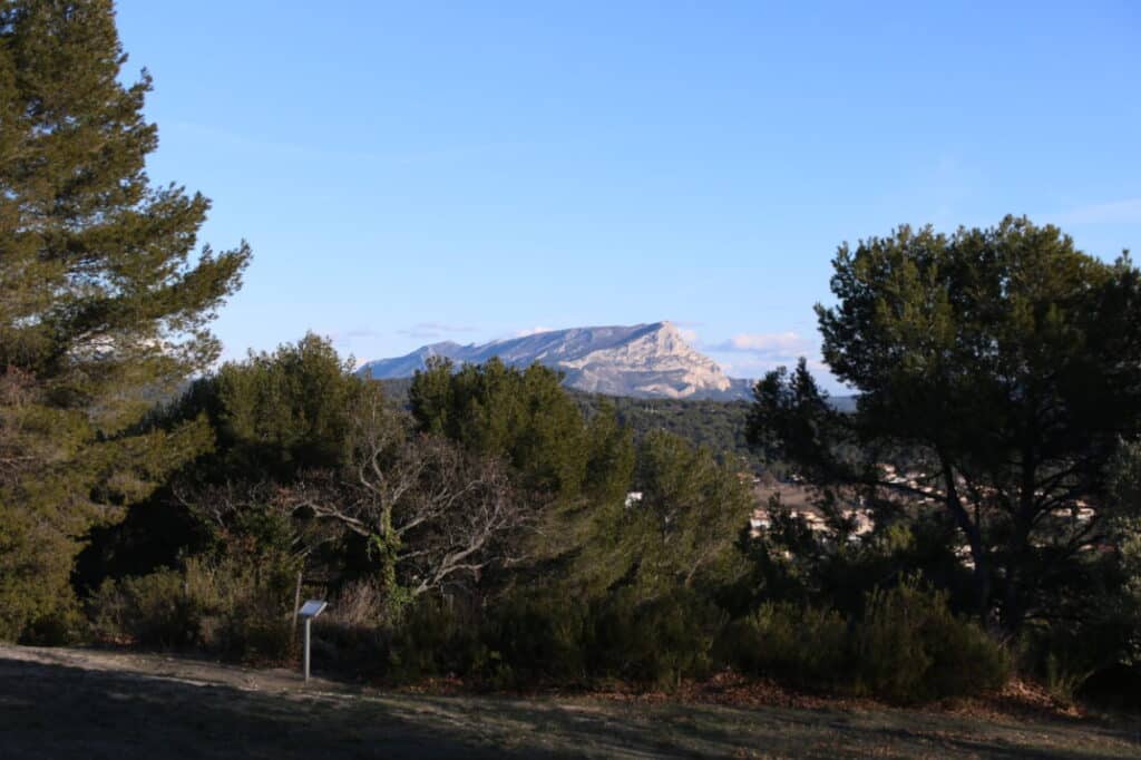 Sainte-Victoire derrière les pins depuis l’oppidum d’Entremont, à Puyricard