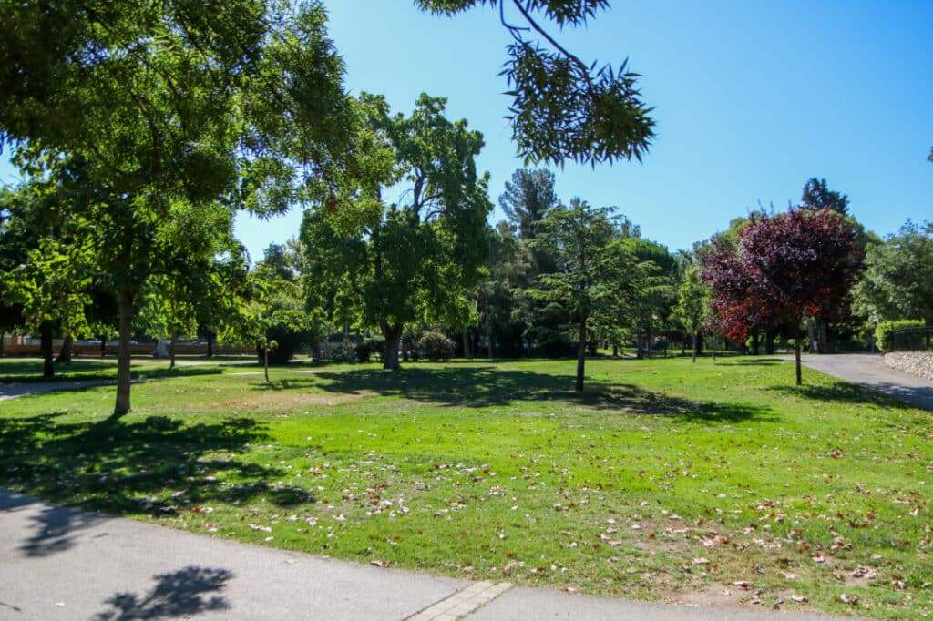 Grande pelouse et arbres du parc Jourdan sous un ciel bleu