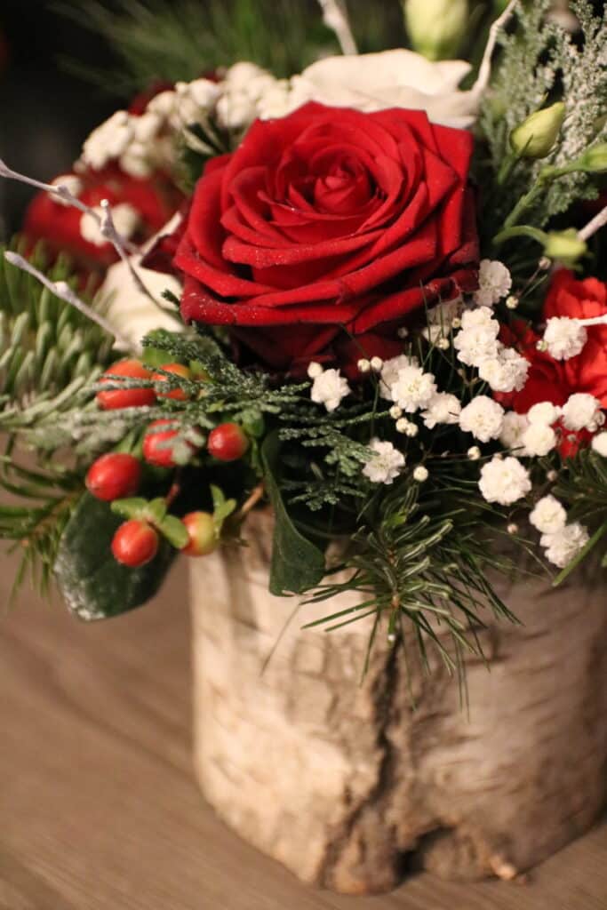 Composition florale de Noël avec rose rouge et branches de sapin dans un rondin