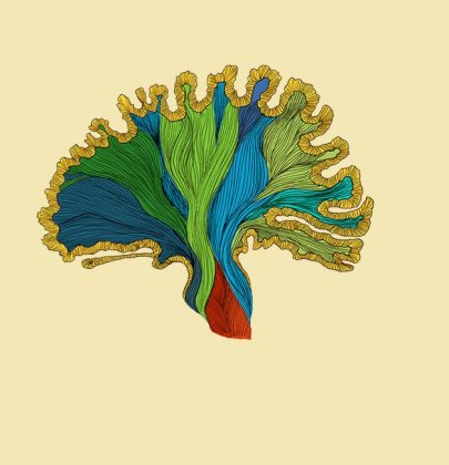 Kinésiologie – Une pratique encore peu connue