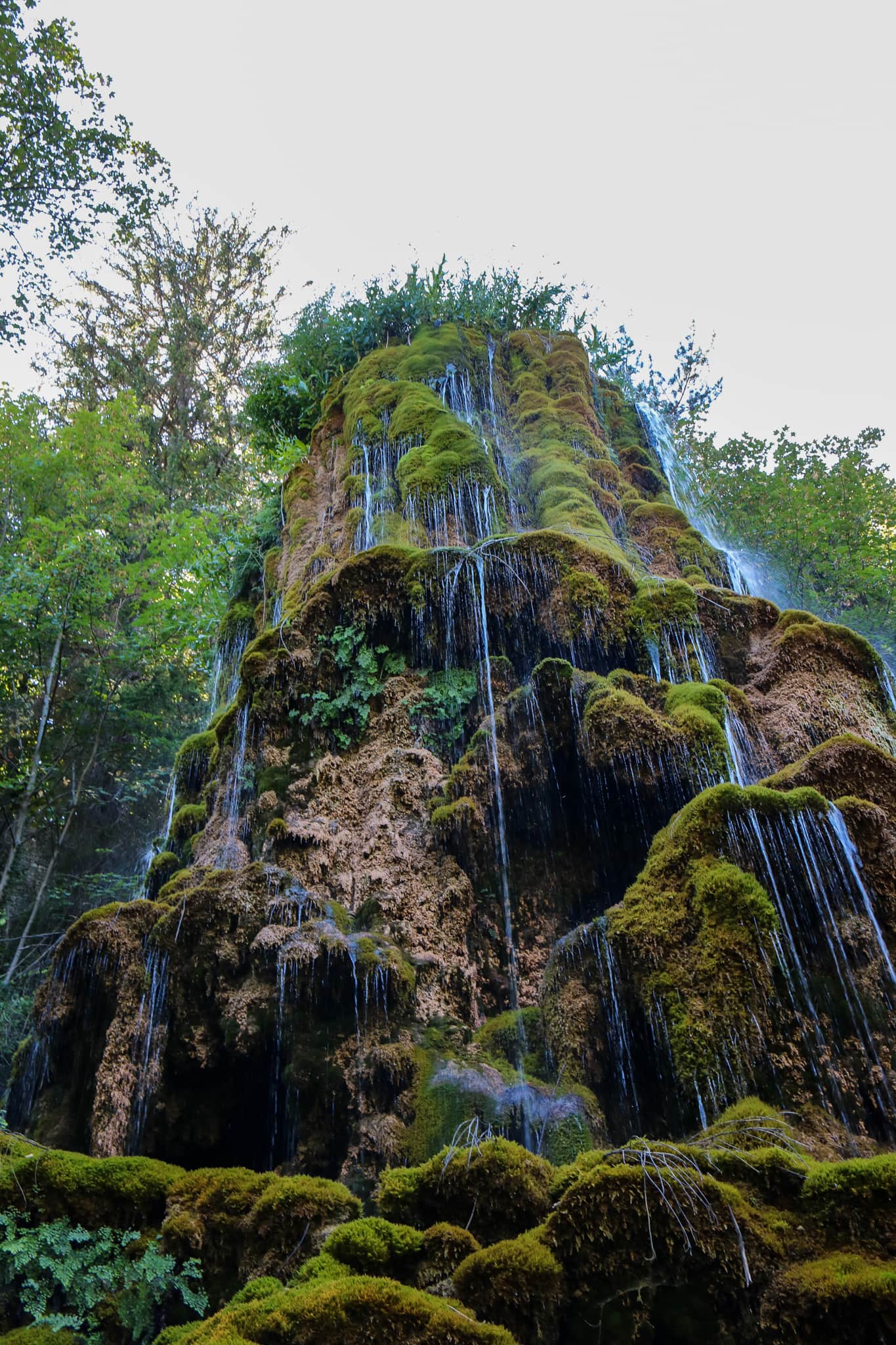 Cascade moussue au Musée Promenade de Digne-les-Bains