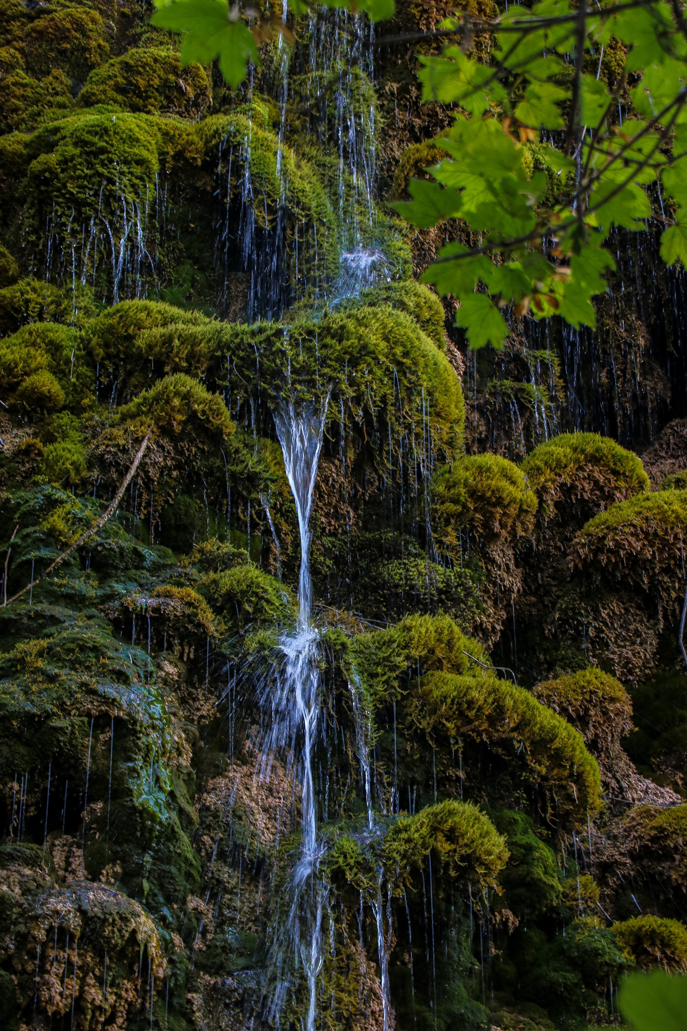 Filets d’eau sur la roche couverte de mousse au Musée Promenade