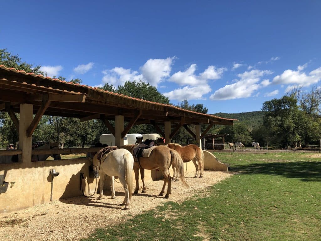 Chevaux sellés à l’ombre d’un abri de La Ballade du Val de Cèze, dans le Gard