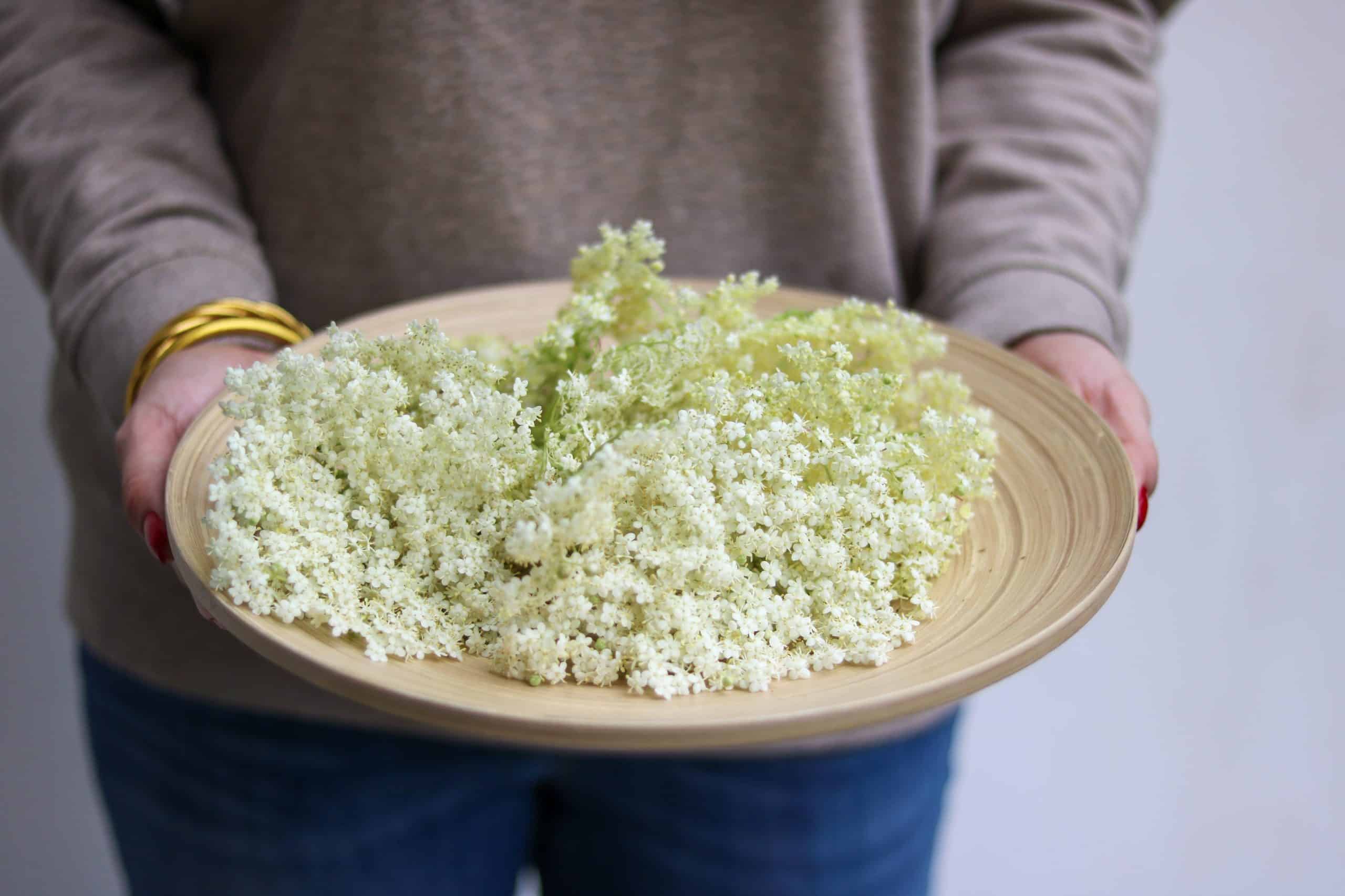 Faire son sirop de sureau maison