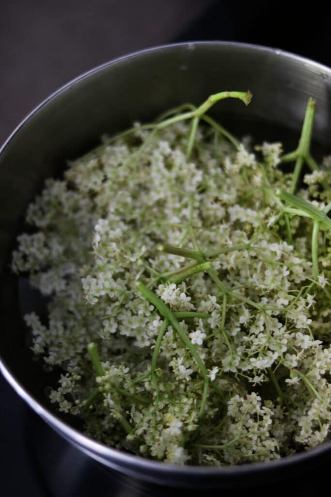 Faire son sirop de sureau maison