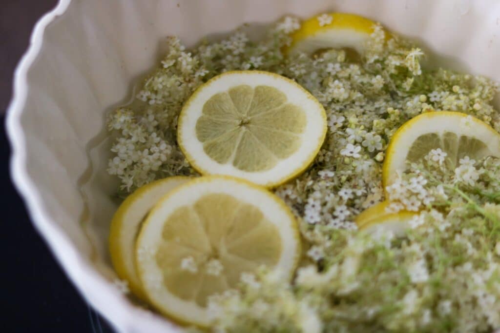 Faire son sirop de sureau maison