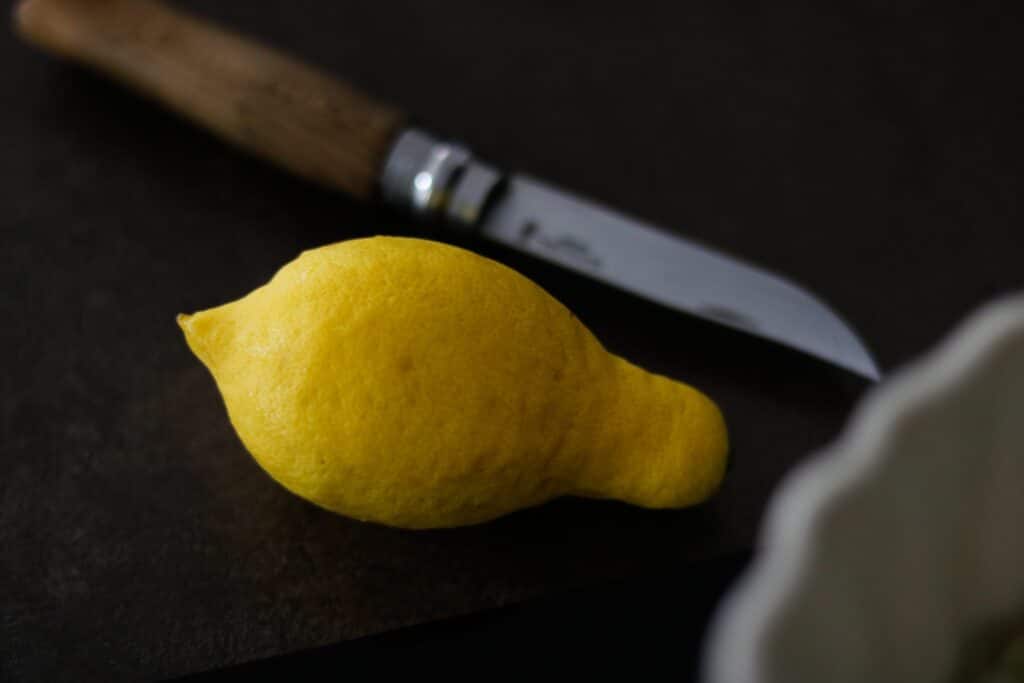 Faire son sirop de sureau maison