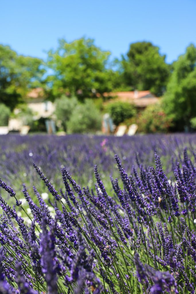 Où prendre l'apéro à Aix-en-Provence