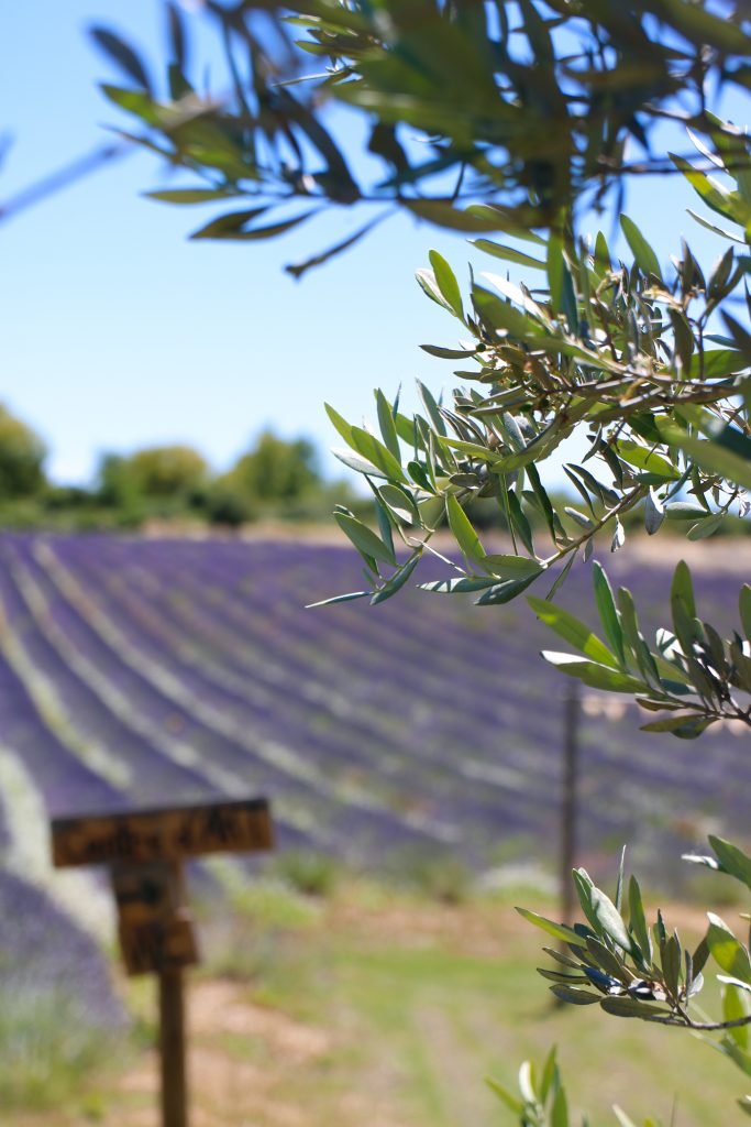 Où prendre l'apéro à Aix-en-Provence
