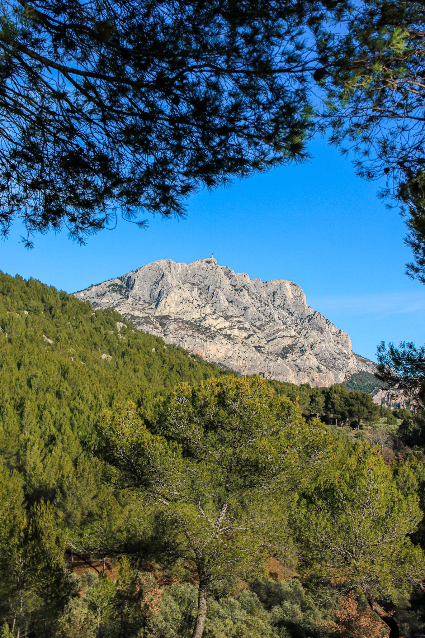 Où pique-niquer autour d'Aix-en-Provence