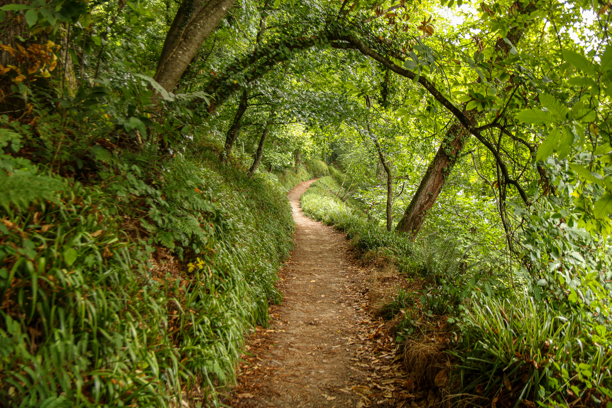 Quoi faire sur la côte de granit rose en Bretagne