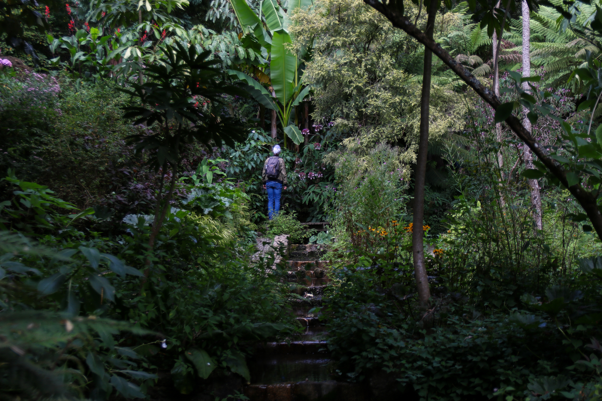 Quoi faire sur la côte de granit rose en Bretagne