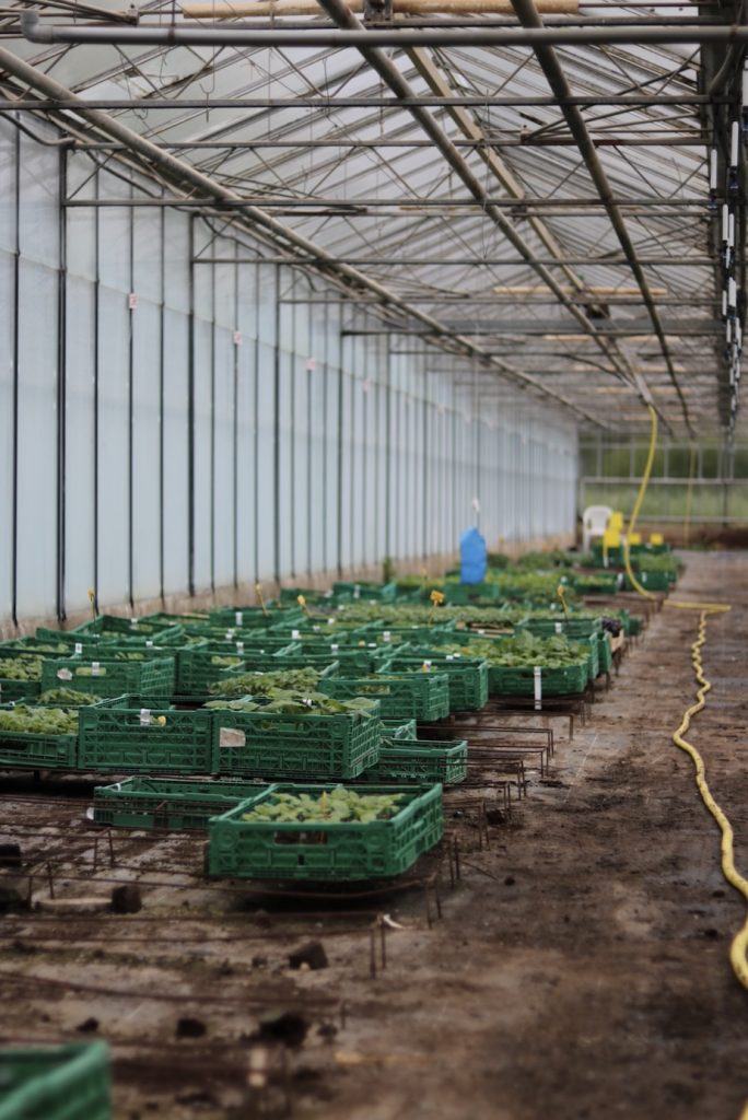 Producteurs locaux Aix-en-Provence