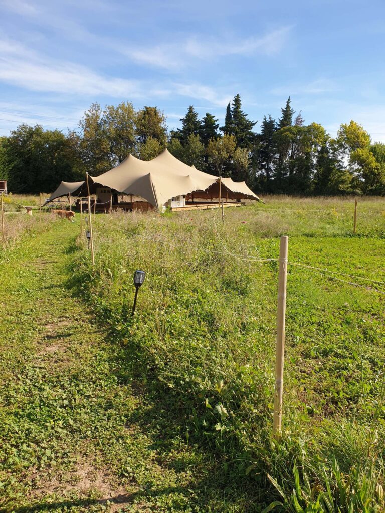 Quoi faire à Salon-de-Provence