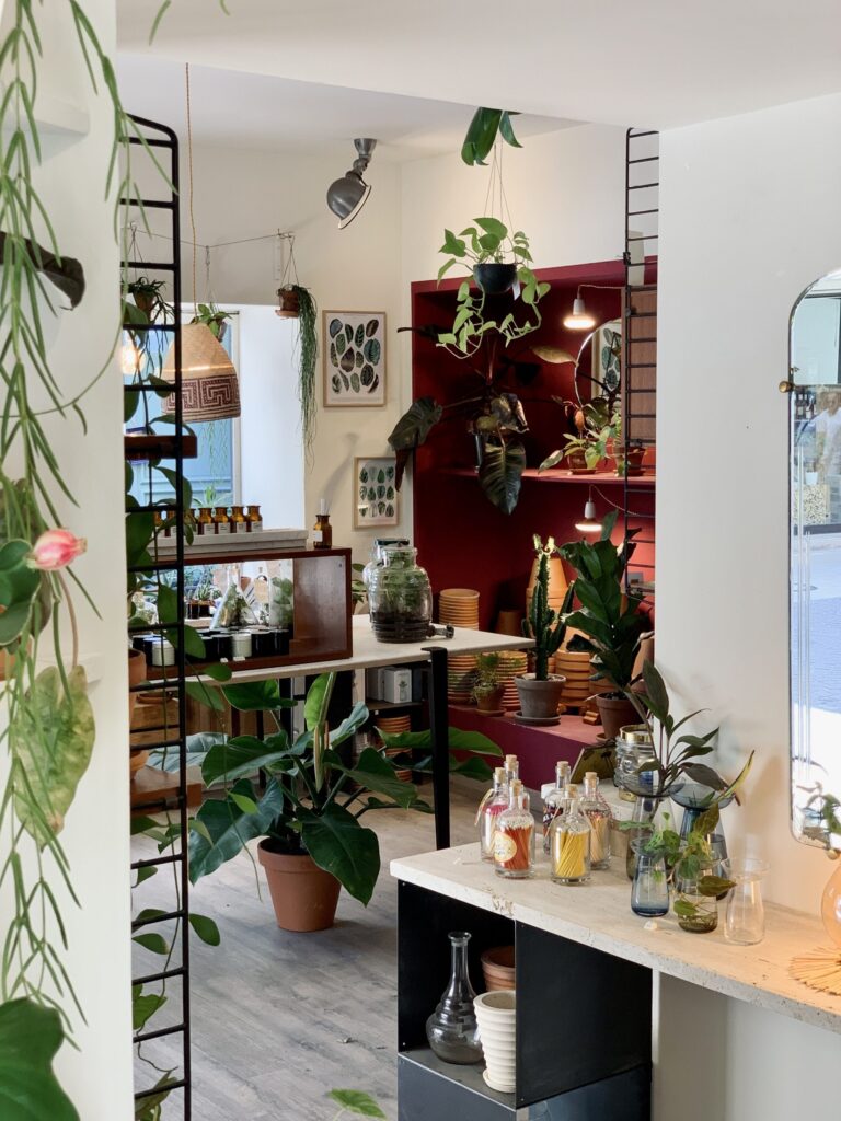 Boutique de plantes et bougies Quel Pot, à La Ciotat