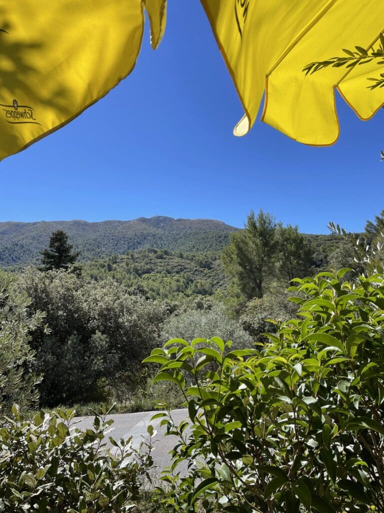 Où manger à Aix-en-Provence ?