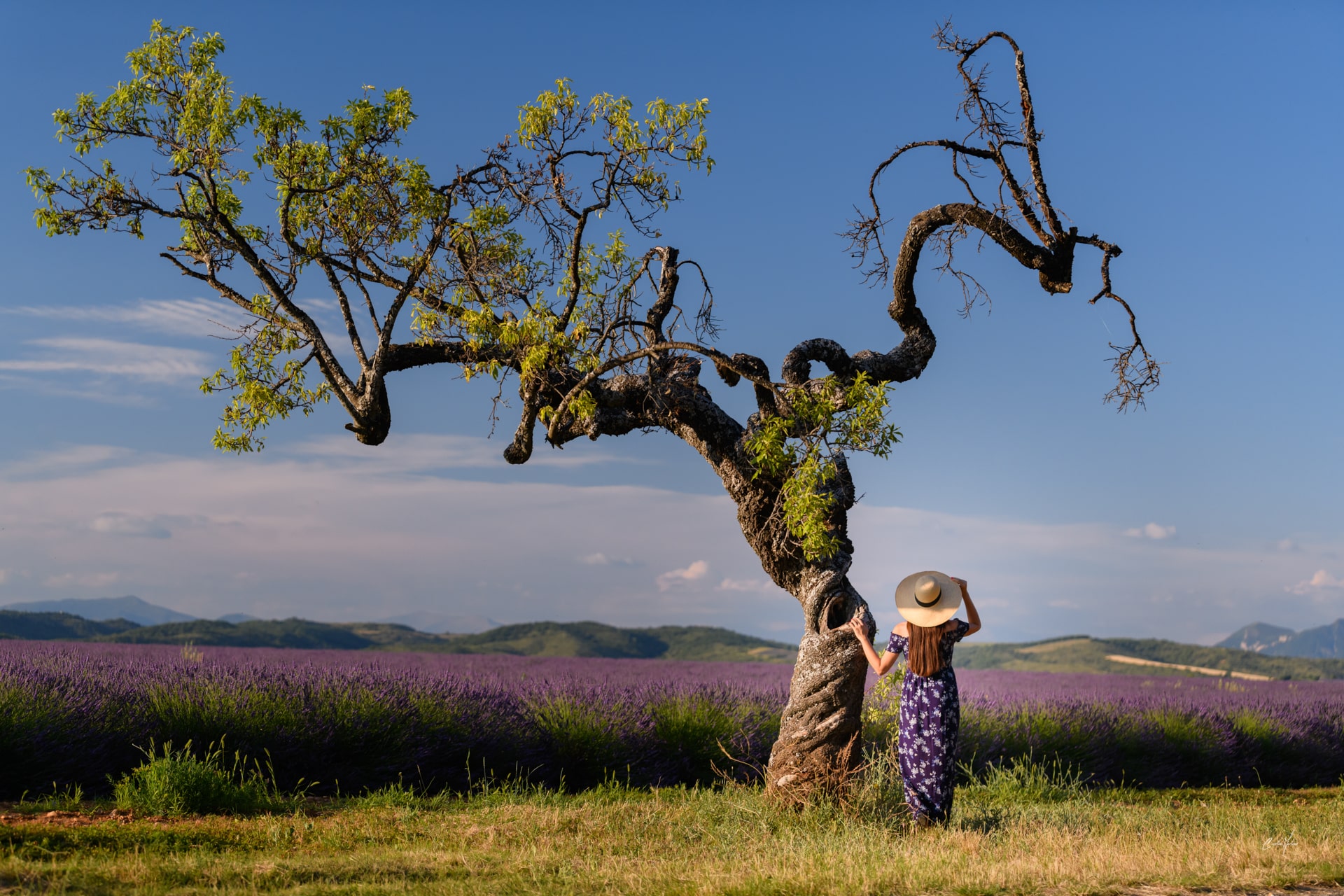 Rencontre avec Caroline Martens Photographe