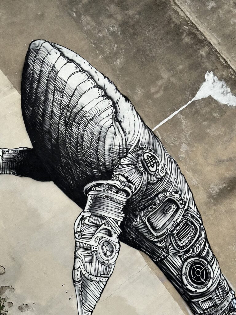 Quoi faire à Nîmes le temps d'un week-end