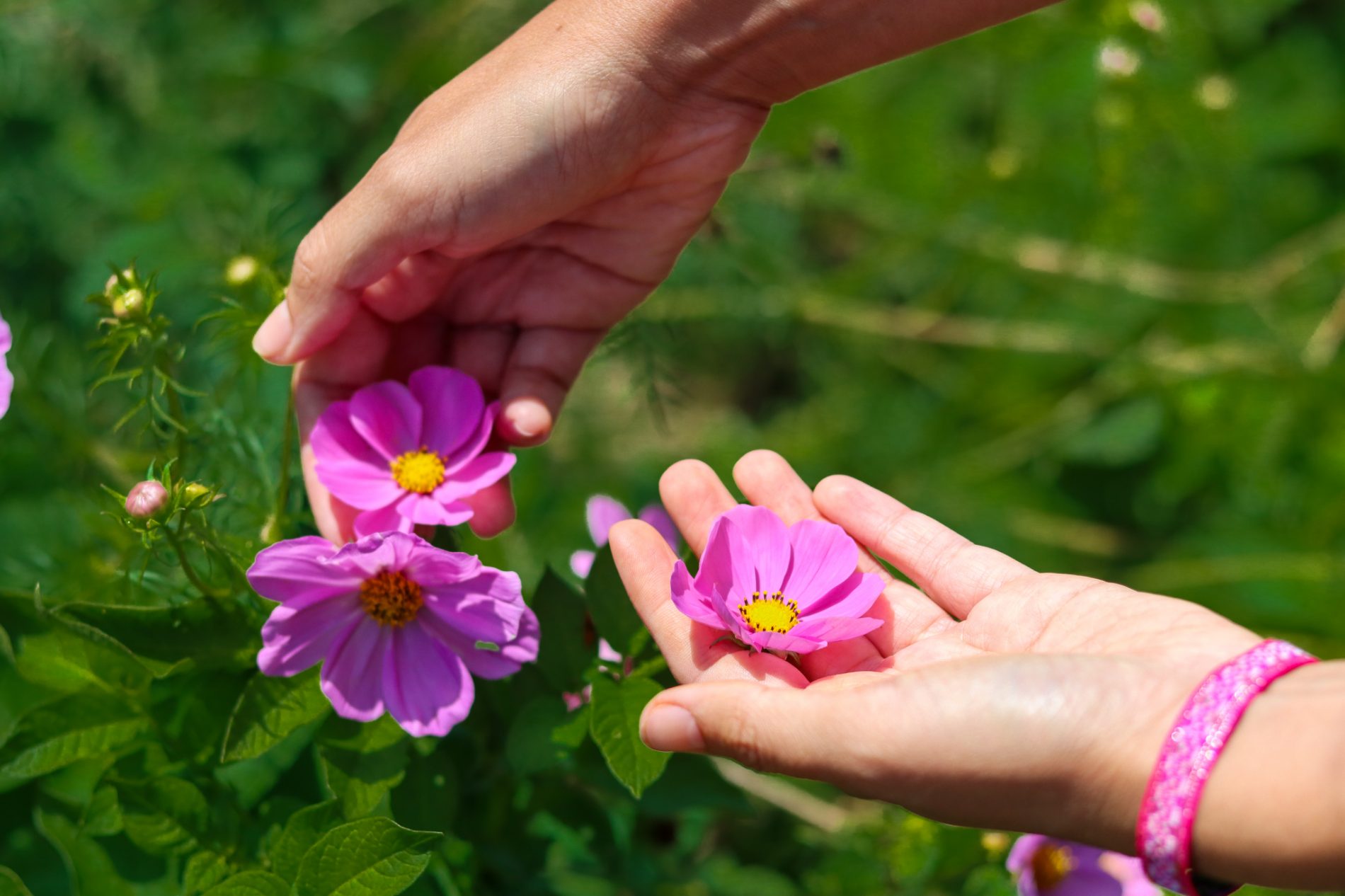 48h au coeur de l’éco-lieu Green Lab’ dans le Vaucluse