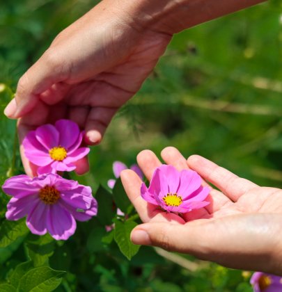 48h au coeur de l’éco-lieu Green Lab’ dans le Vaucluse