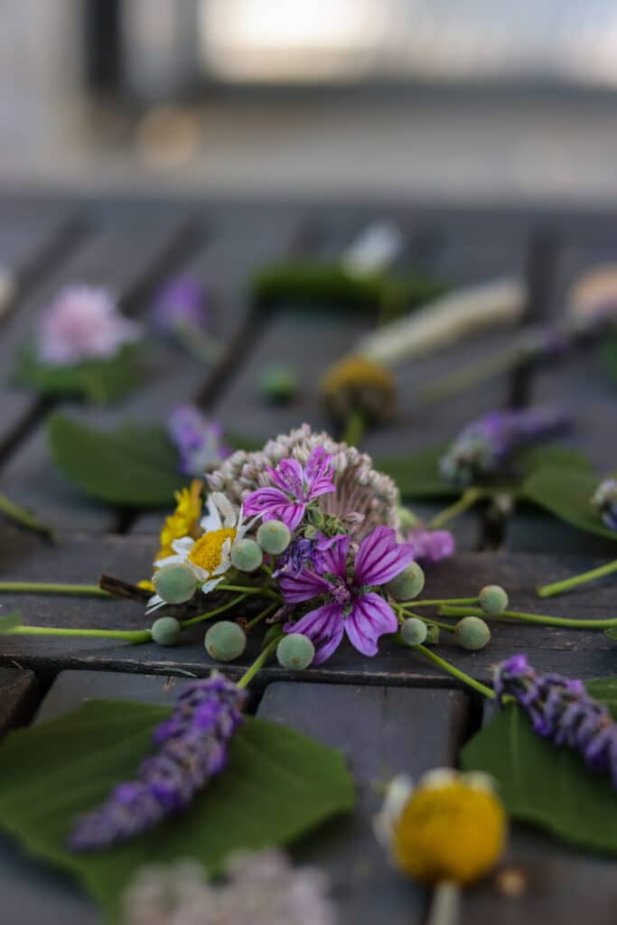 48h au coeur de l’éco-lieu Green Lab’ dans le Vaucluse