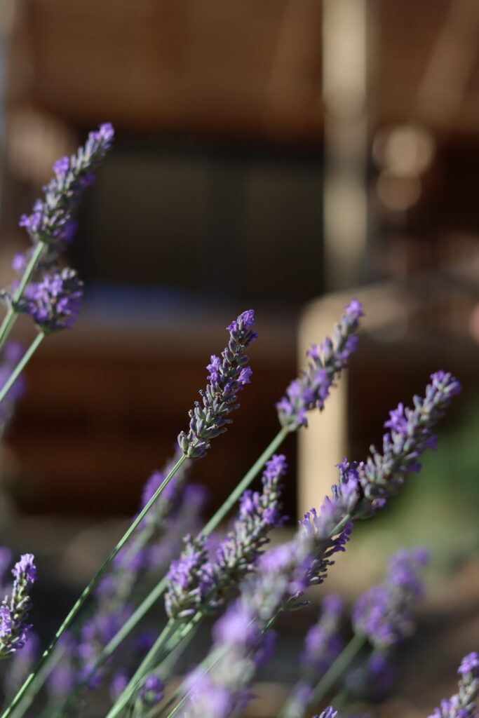 Mes hébergements préférés sur Aix-en-Provence